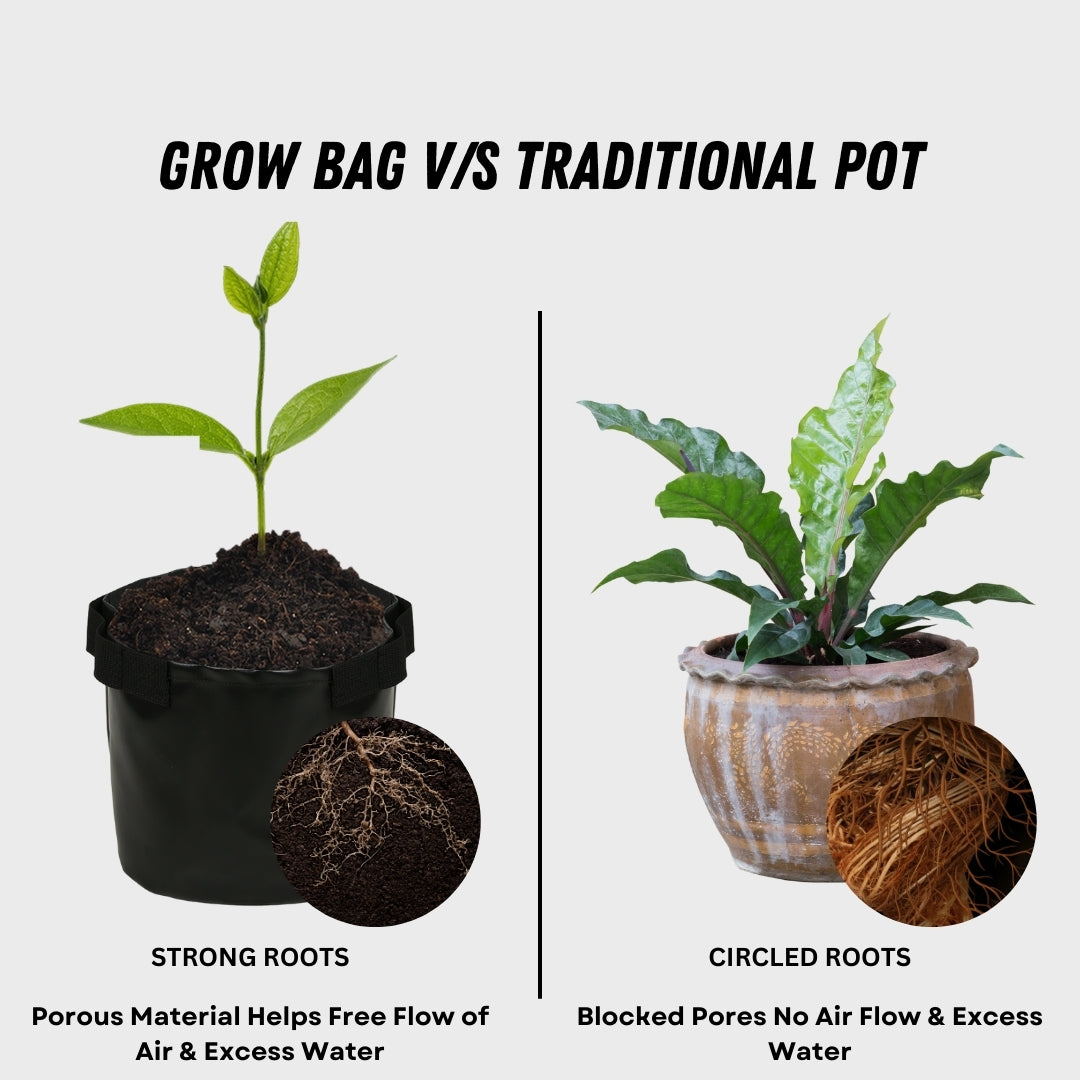 Grow Bag Strong Root