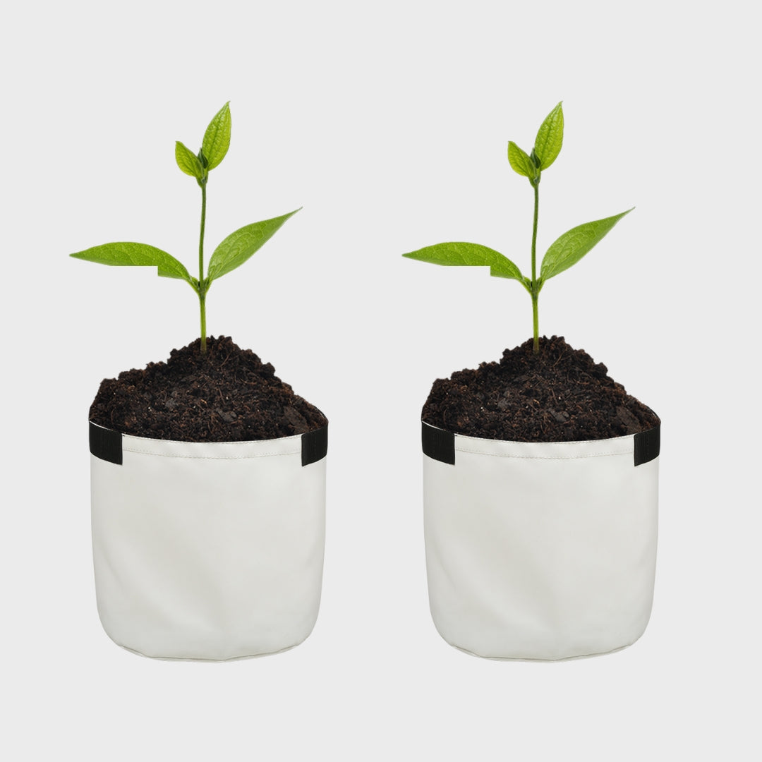 Grow Bag 10" x 10" White Pack of 2