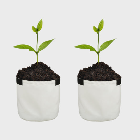 Grow Bag 10" x 10" White Pack of 2