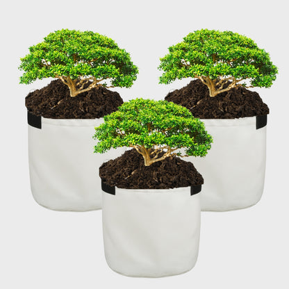 Grow Bag 15" x 15" White Pack of 3