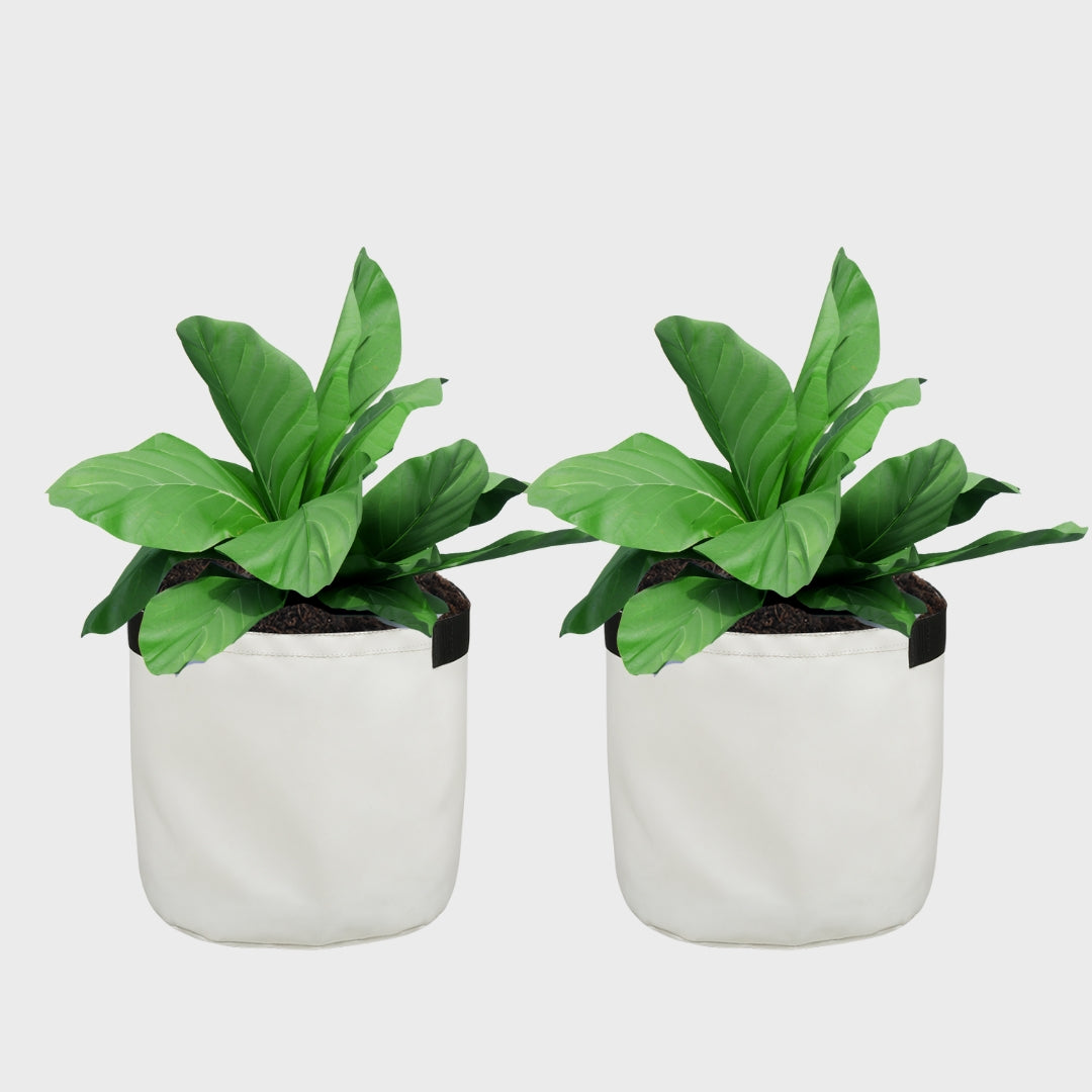 Grow Bag 15" x 15" White Pack of 2