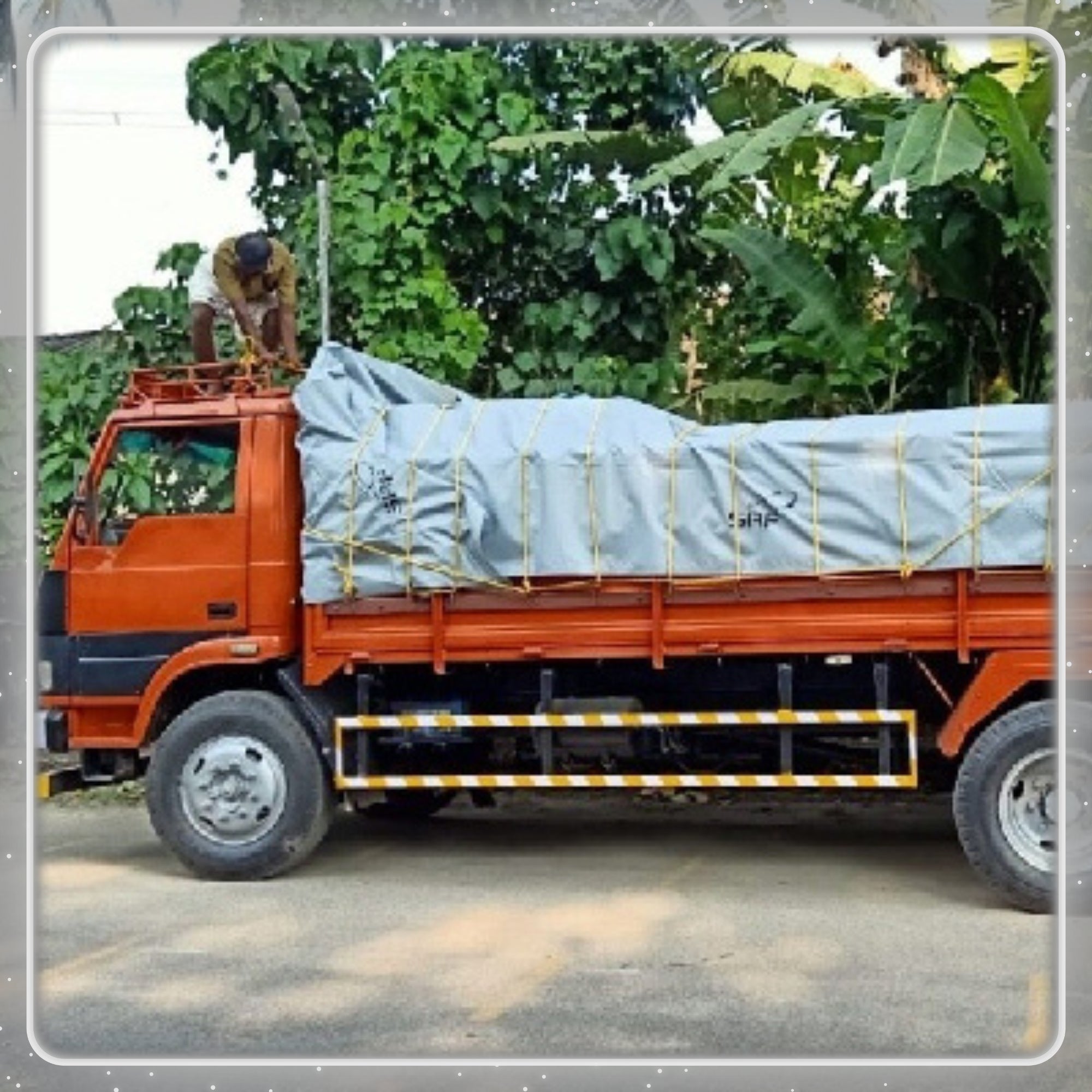 Truck Cover