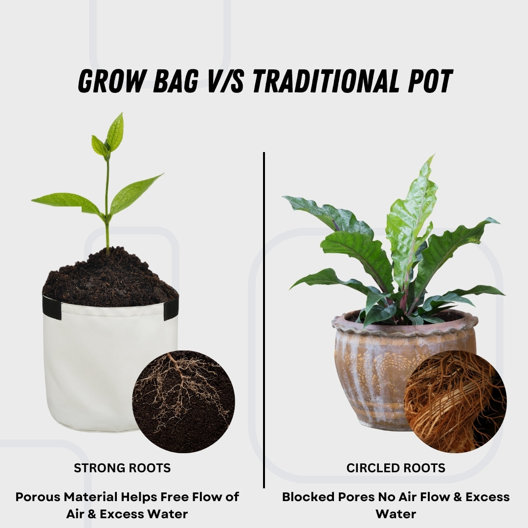 Grow Bag Strong Roots