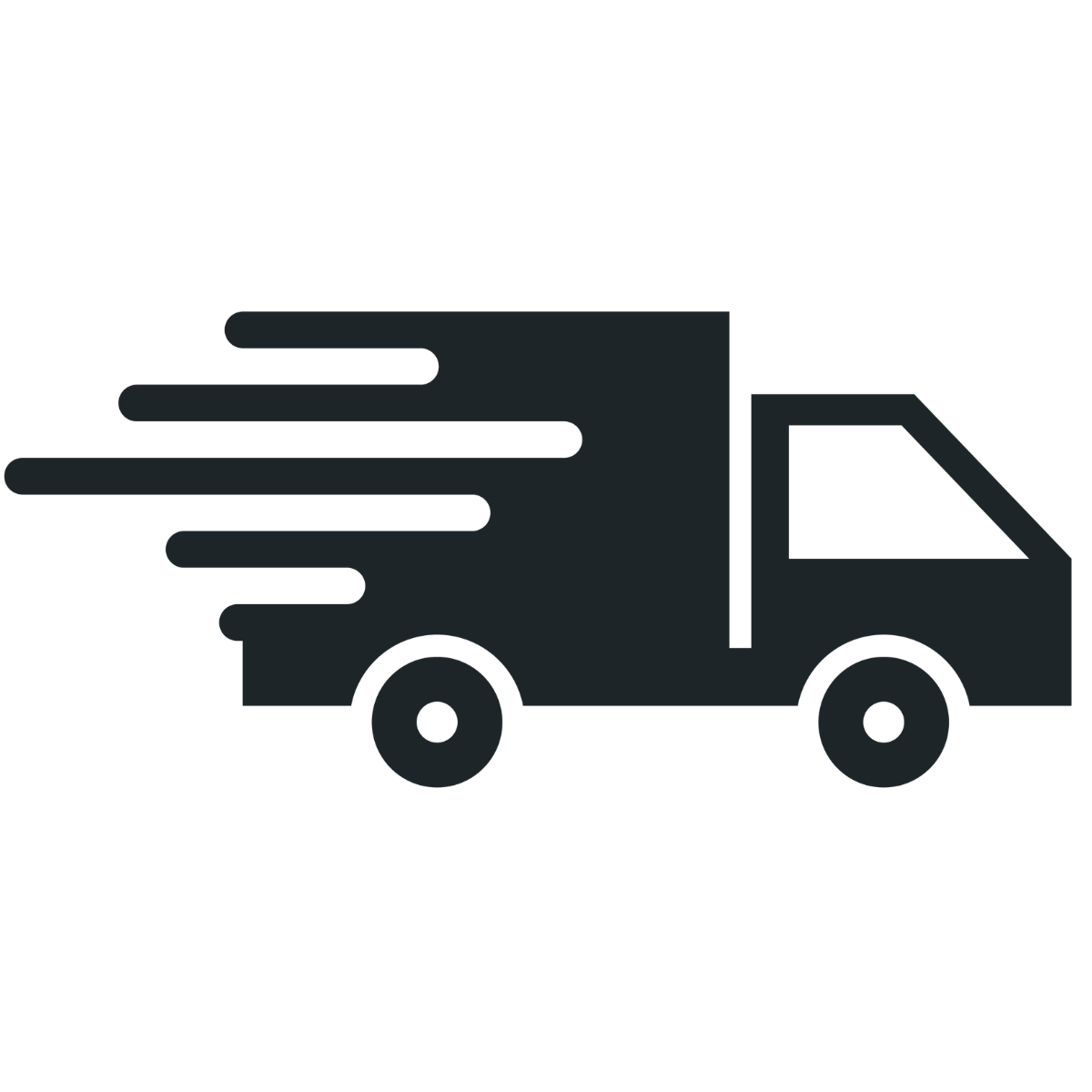 Fast Shipping Icon