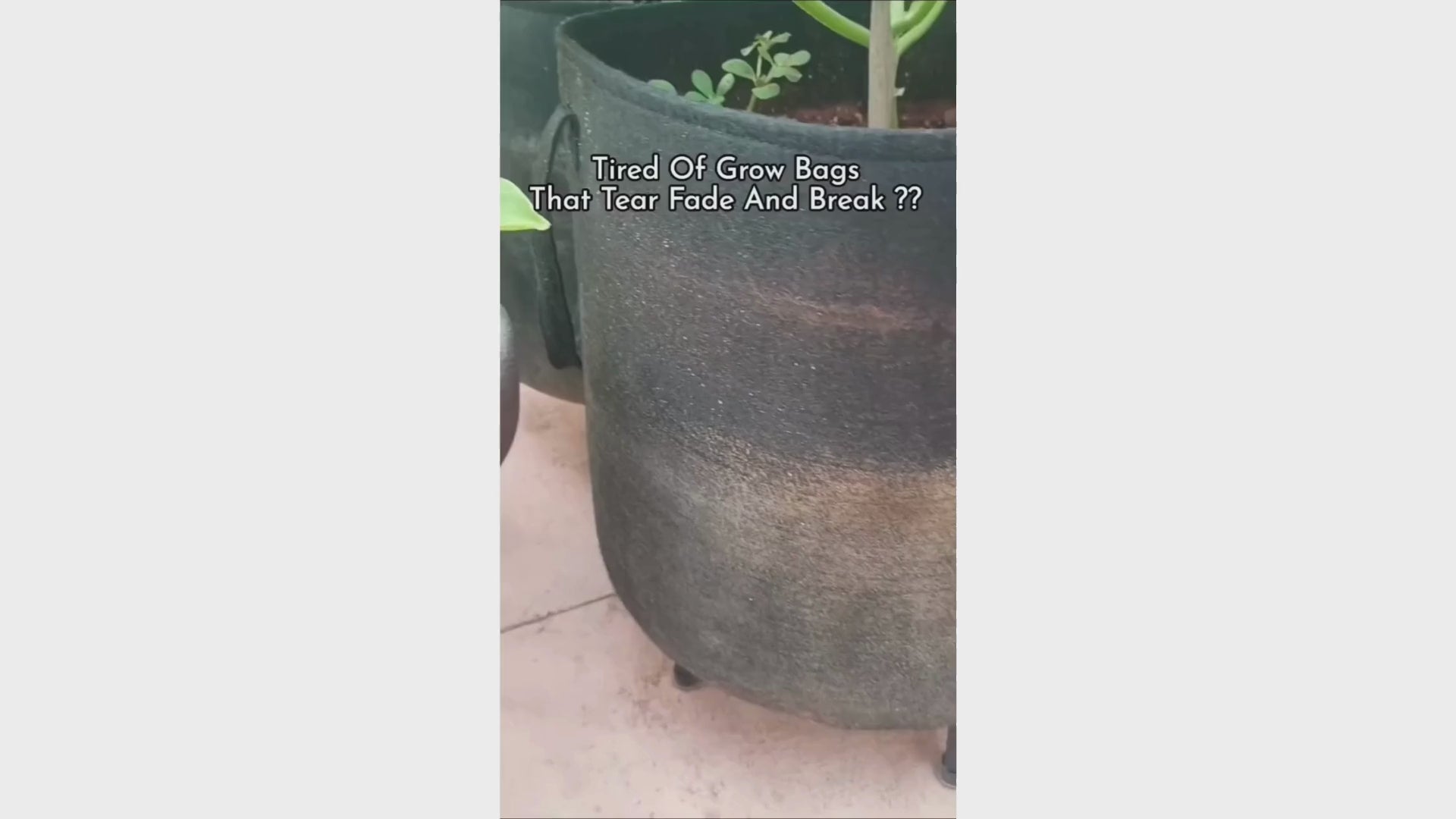 Load video: Black Grow Bag Video